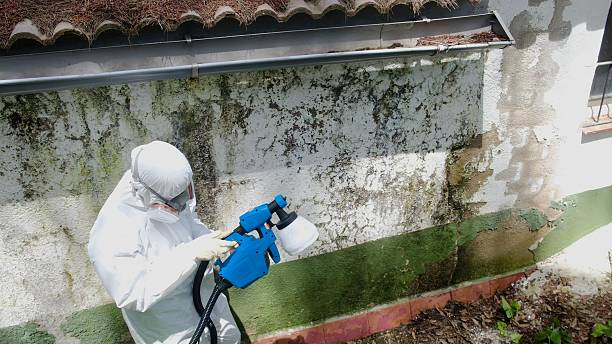 Trusted Crawl Space Mold Removal service in Point of Rocks, MD - Cheap Mold Removal